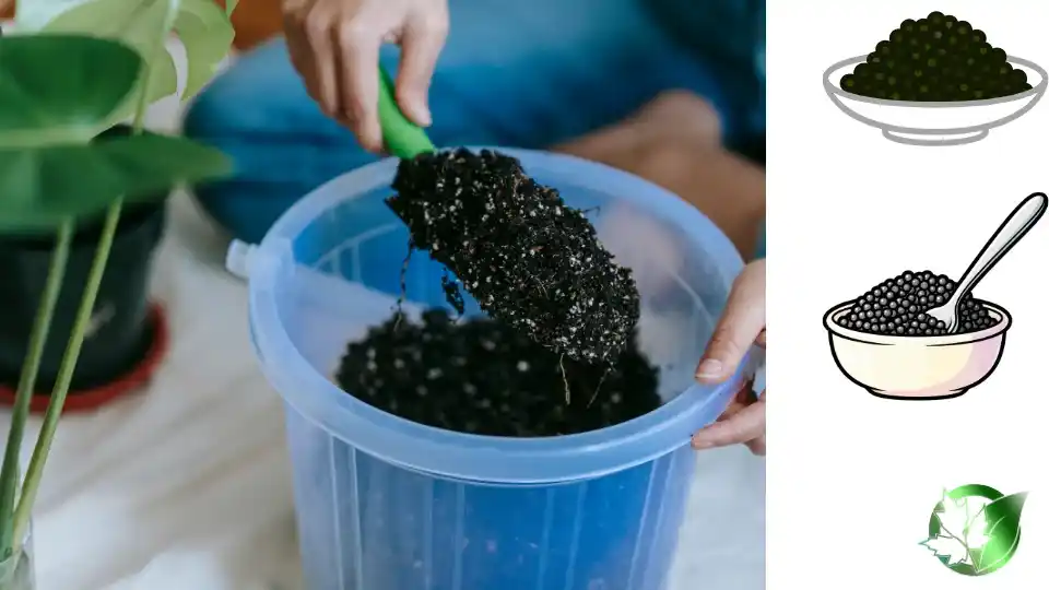 Wholesale packaging for Baerii Caviar can be planned for retail, commercial kitchens, bespoke-label, or industrial distribution.